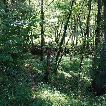 La Halte D'hotes Proche Epinal Jeuxey