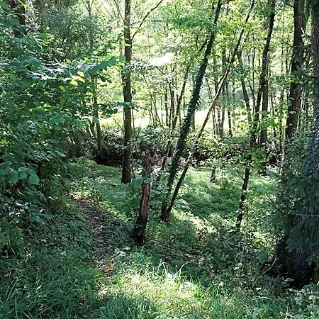 Oda ve Kahvaltı La Halte D'hotes Proche Epinal Jeuxey