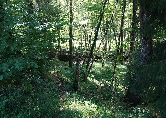 La Halte D'hotes Proche Epinal Jeuxey